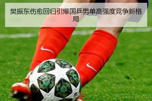 樊振东伤愈回归引爆国乒男单高强度竞争新格局
