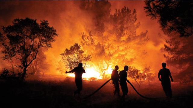 Orman Yangınları Neden Çıkar